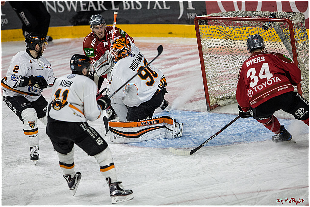 DEL, Koelner Haie - Grizzlys Wolfsburg, 21.03.2017